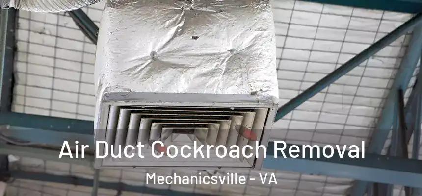  Air Duct Cockroach Removal Mechanicsville - VA