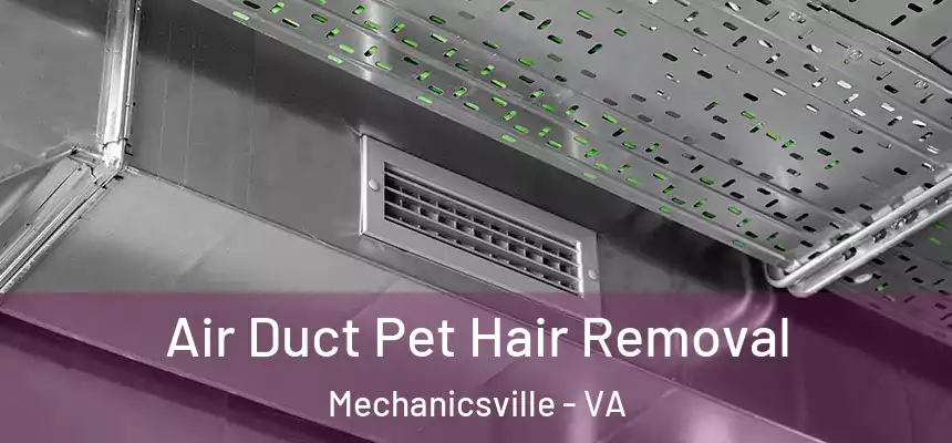 Air Duct Pet Hair Removal Mechanicsville - VA