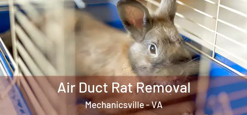 Air Duct Rat Removal Mechanicsville - VA