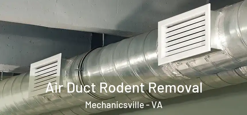  Air Duct Rodent Removal Mechanicsville - VA