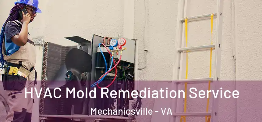  HVAC Mold Remediation Service Mechanicsville - VA