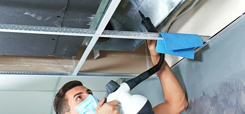 Our Air Duct Rodent Removal Services in Mechanicsville, VA