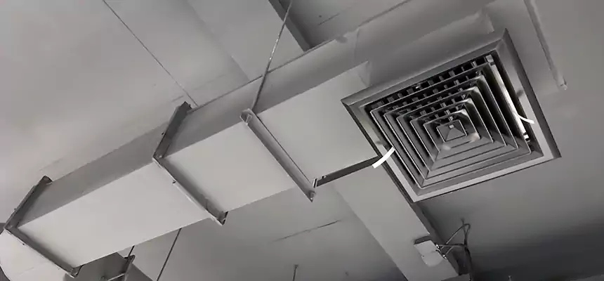 Our Pest Removal From Ducts Services in Mechanicsville, VA