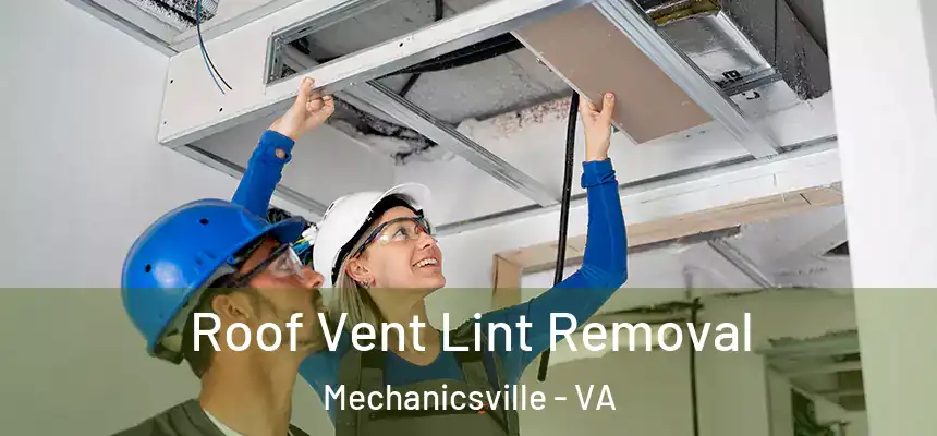  Roof Vent Lint Removal Mechanicsville - VA