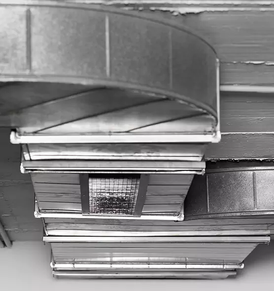 Professional Air Duct Pet Hair Removal in Mechanicsville, VA