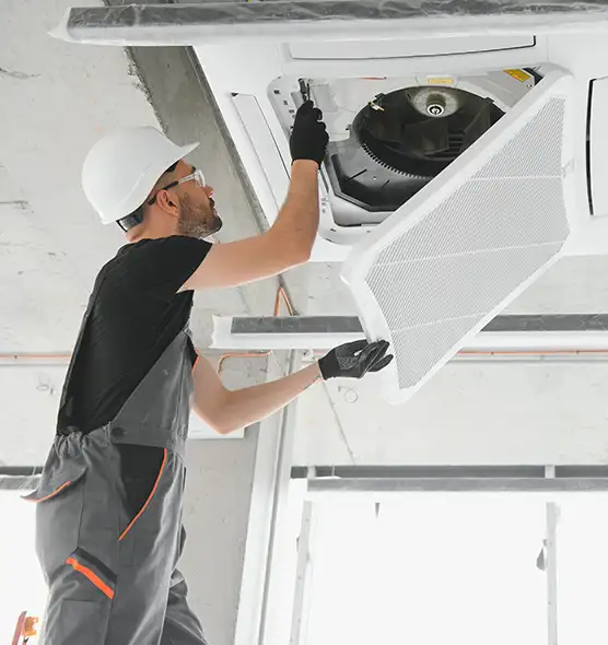 About Air Duct Rodent Removal in Mechanicsville, VA