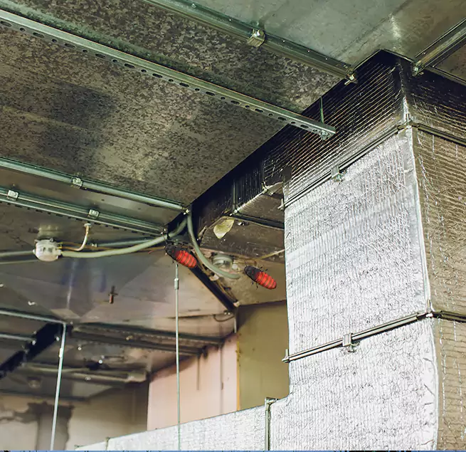 Why Homeowners & Businesses Trust Us in Mechanicsville, VA?